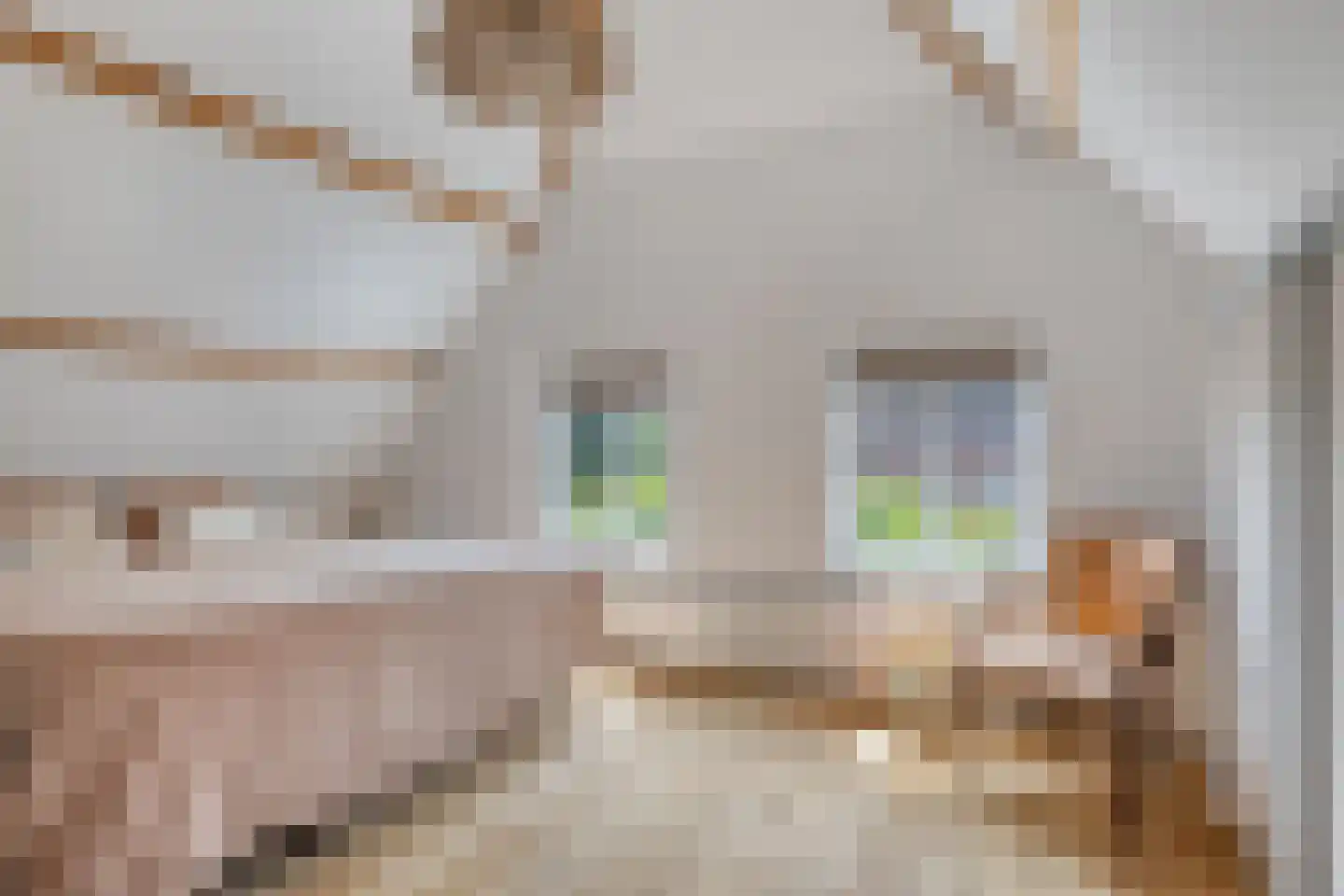 Wolput 4 Vlijmen thumbnail 29