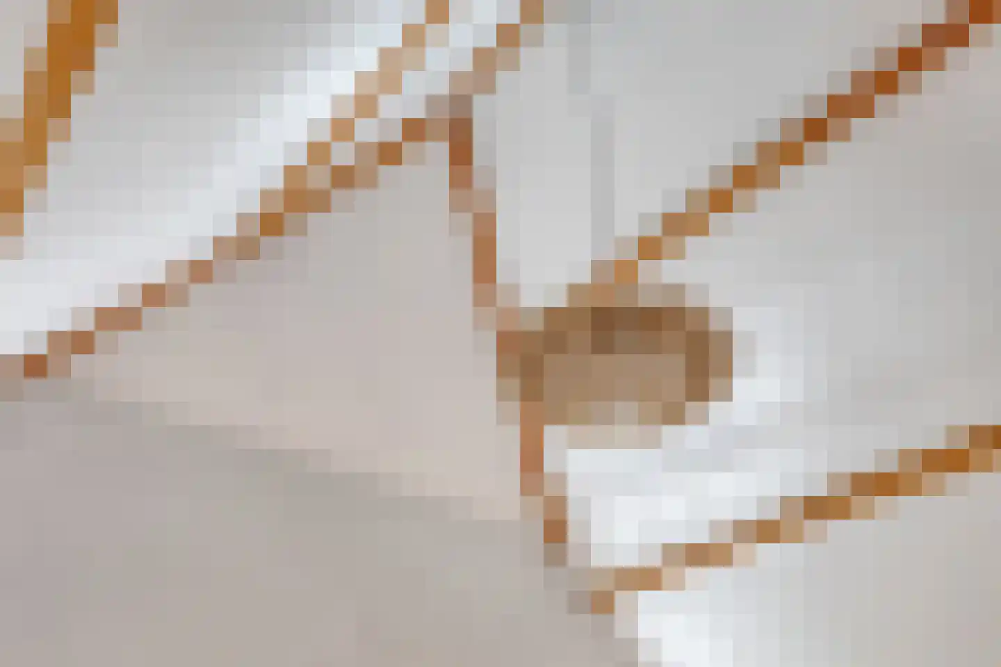 Wolput 4 Vlijmen thumbnail 33