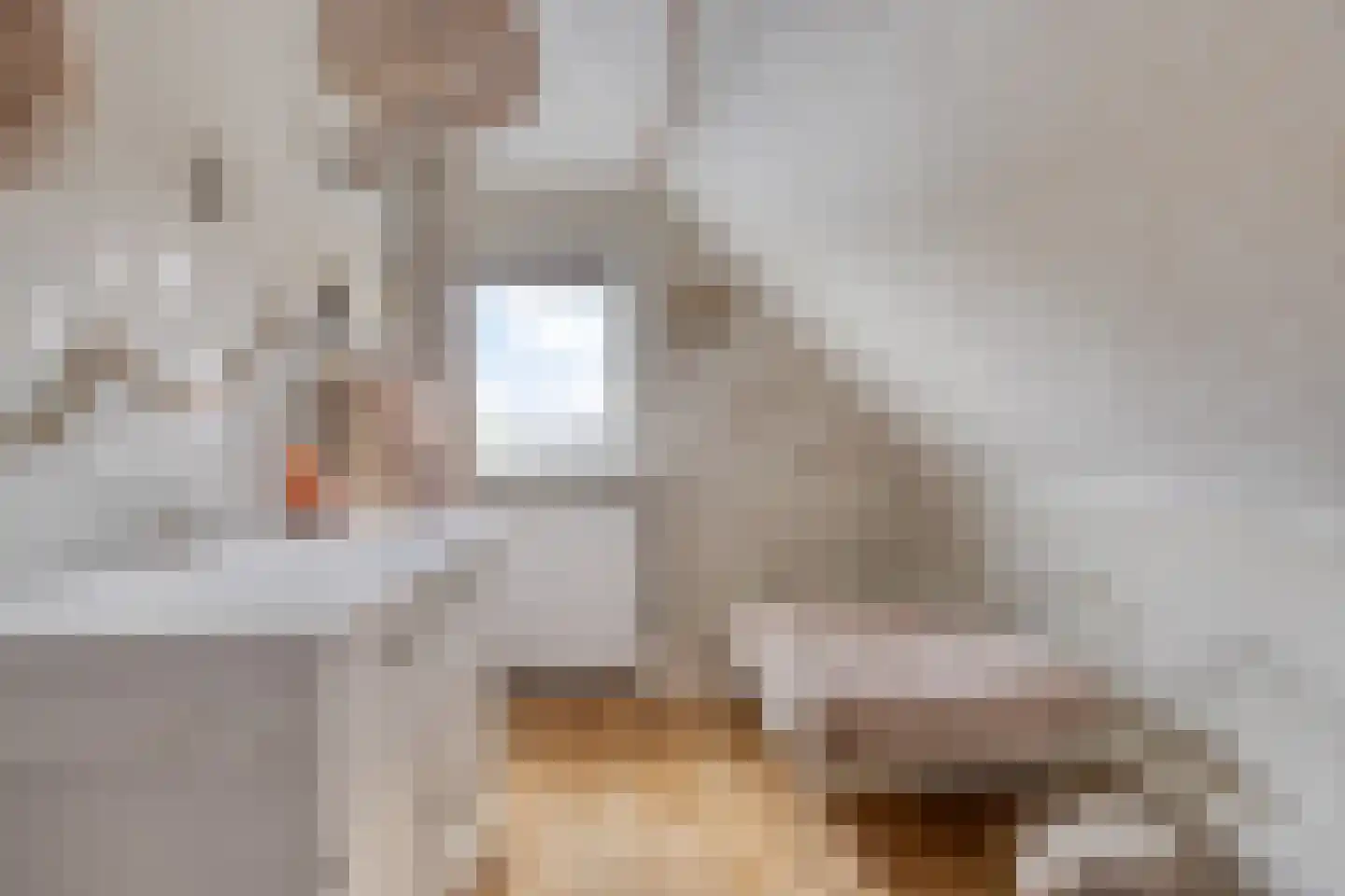Wolput 4 Vlijmen thumbnail 38