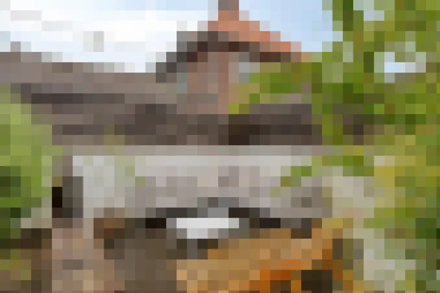 Wolput 4 Vlijmen thumbnail 42