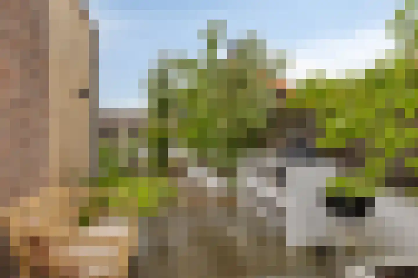 Wolput 4 Vlijmen thumbnail 44