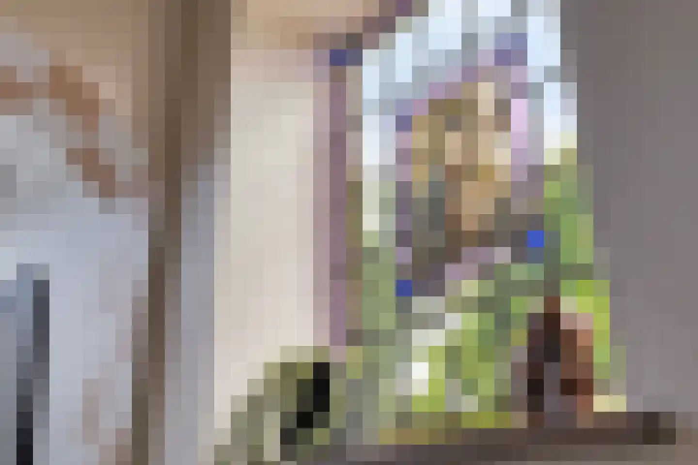 Wolput 4 Vlijmen thumbnail 7