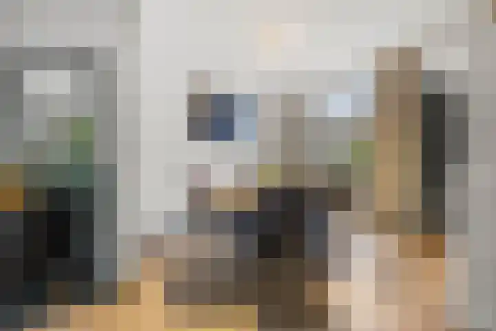 Wolput 6 Vlijmen thumbnail 11