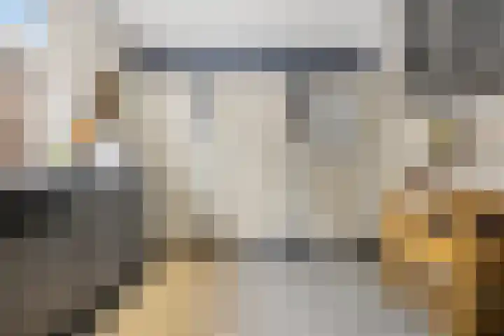 Wolput 6 Vlijmen thumbnail 14