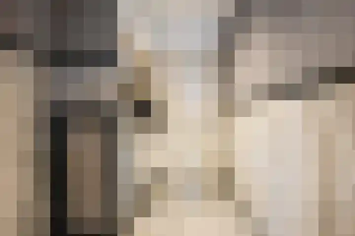 Wolput 6 Vlijmen thumbnail 17