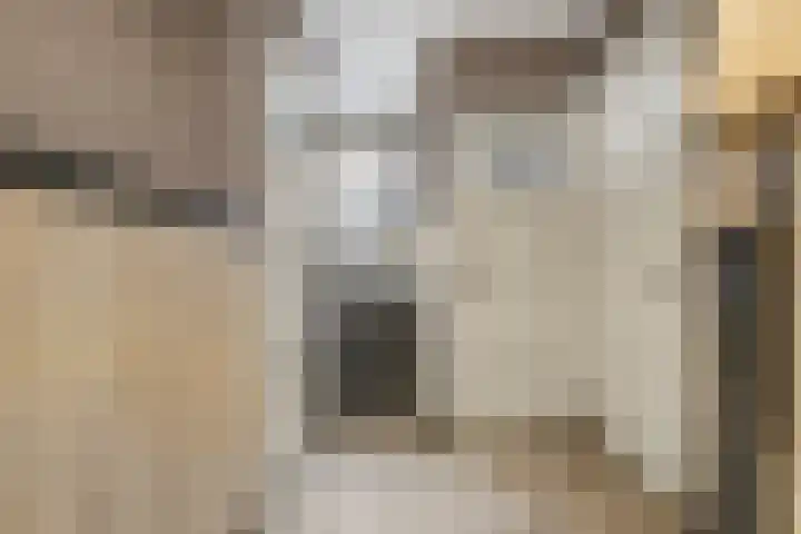 Wolput 6 Vlijmen thumbnail 18