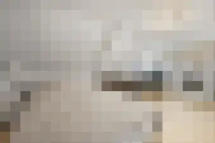 Wolput 6 Vlijmen thumbnail 23