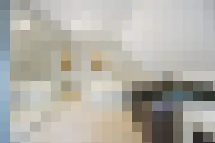 Wolput 6 Vlijmen thumbnail 24
