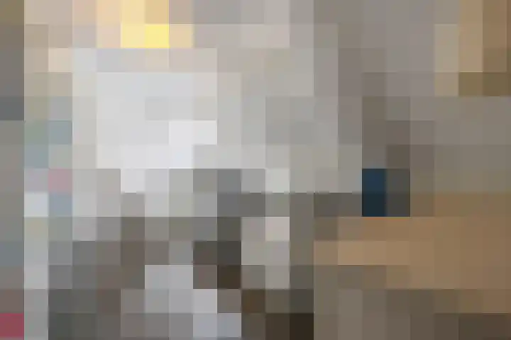 Wolput 6 Vlijmen thumbnail 25
