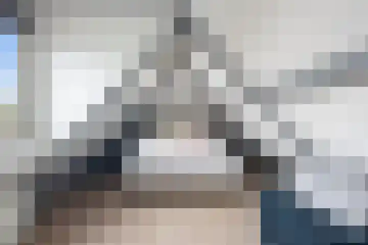 Wolput 6 Vlijmen thumbnail 27