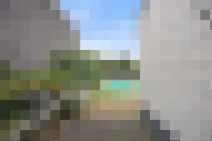 Wolput 6 Vlijmen thumbnail 30