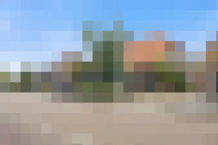 Wolput 6 Vlijmen thumbnail 36