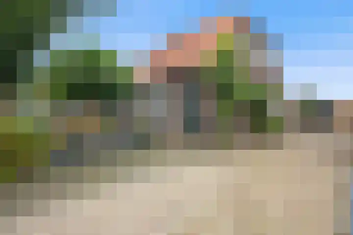 Wolput 6 Vlijmen thumbnail 5