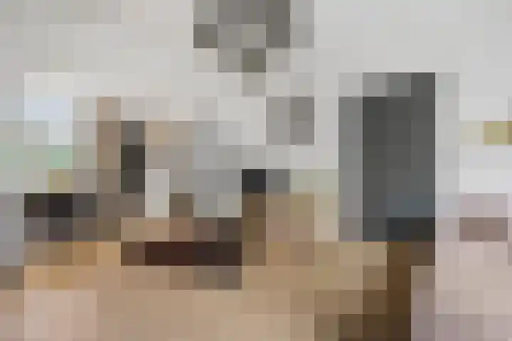 Wolput 6 Vlijmen thumbnail 9