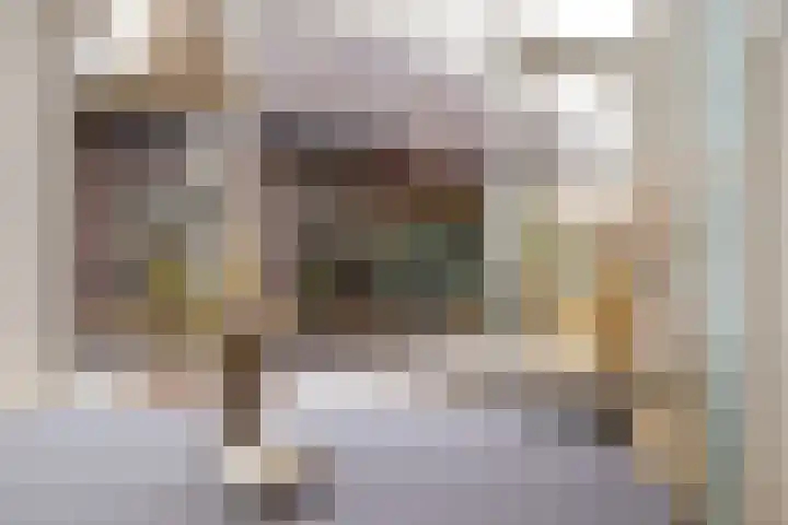 Wolput 76 A Vlijmen thumbnail 18
