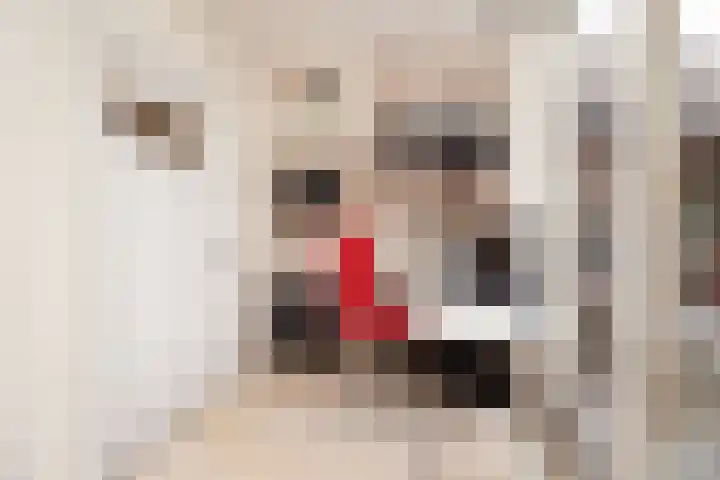 Wolput 76 A Vlijmen thumbnail 20