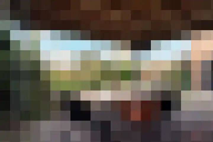 Wolput 76 A Vlijmen thumbnail 22