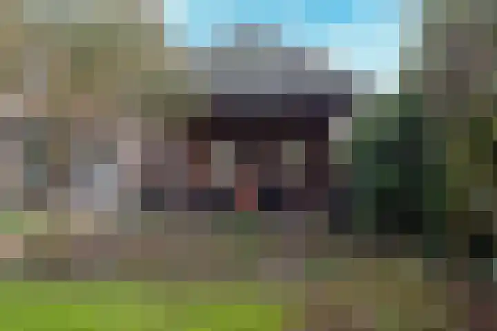 Wolput 76 A Vlijmen thumbnail 28