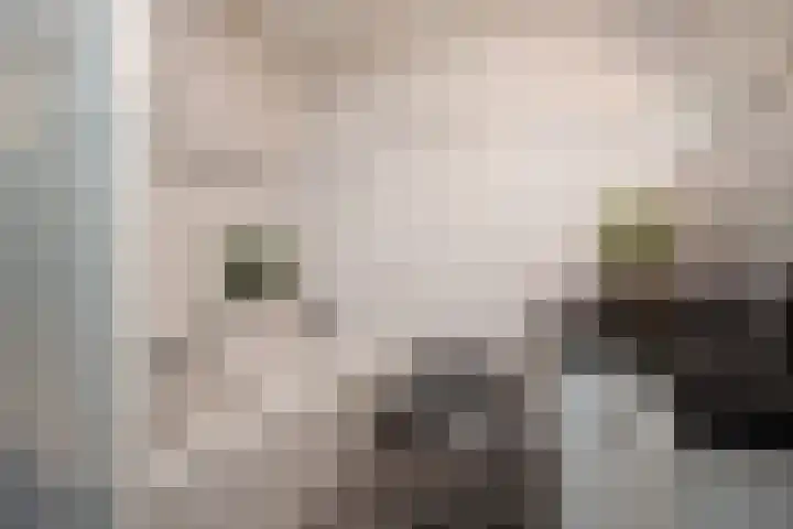 Wolput 76 A Vlijmen thumbnail 37