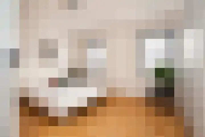 Wolput 76 A Vlijmen thumbnail 4