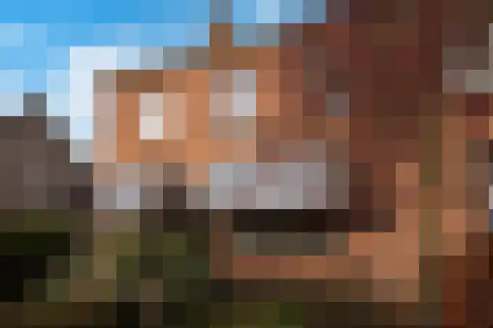 Wolput 76 A Vlijmen thumbnail 6