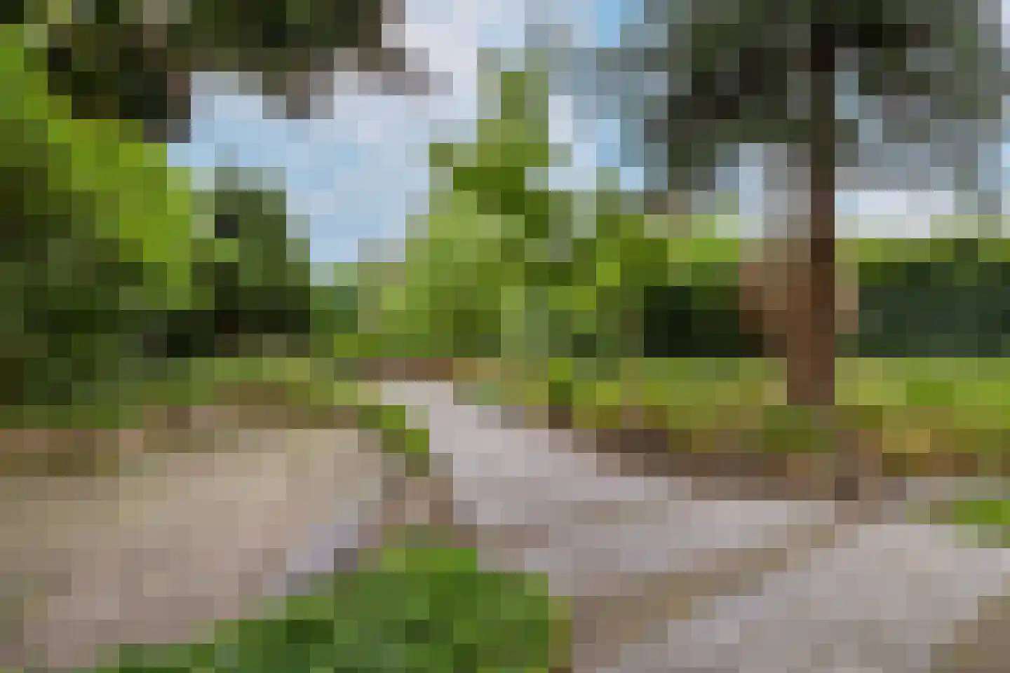 Wolput 83 A Vlijmen thumbnail 14