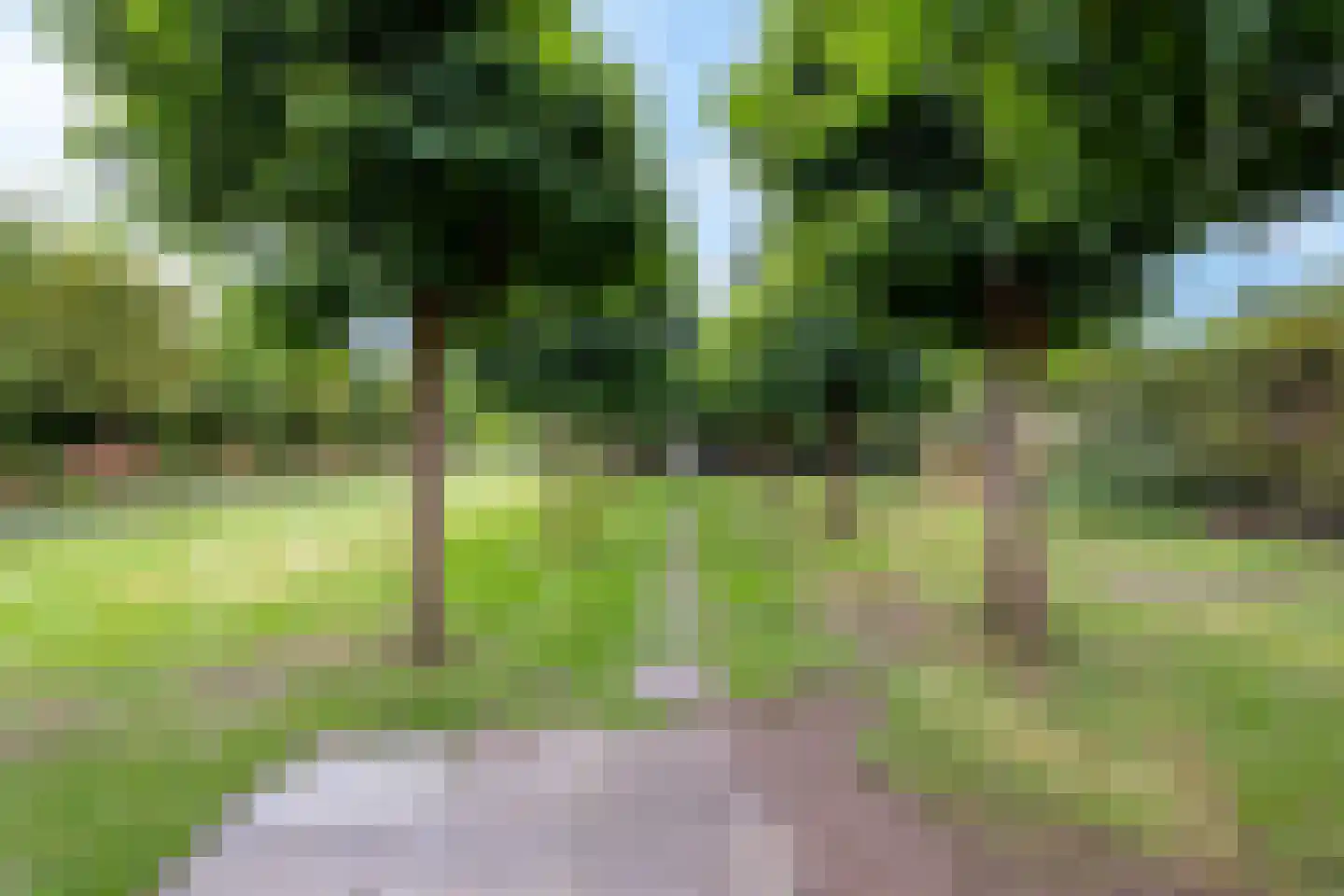 Wolput 83 A Vlijmen thumbnail 15