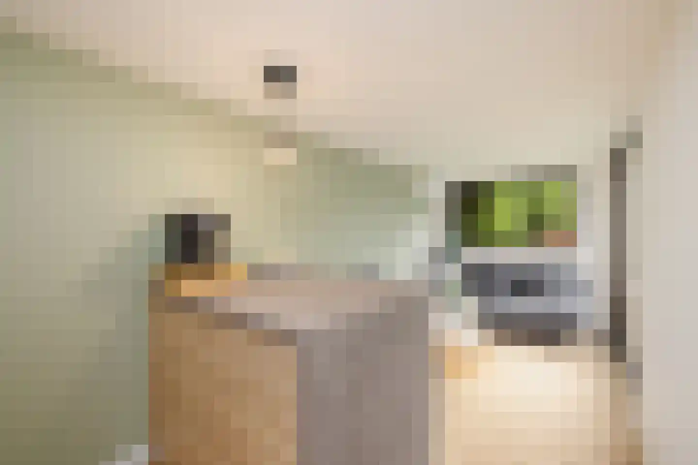Wolput 83 A Vlijmen thumbnail 18