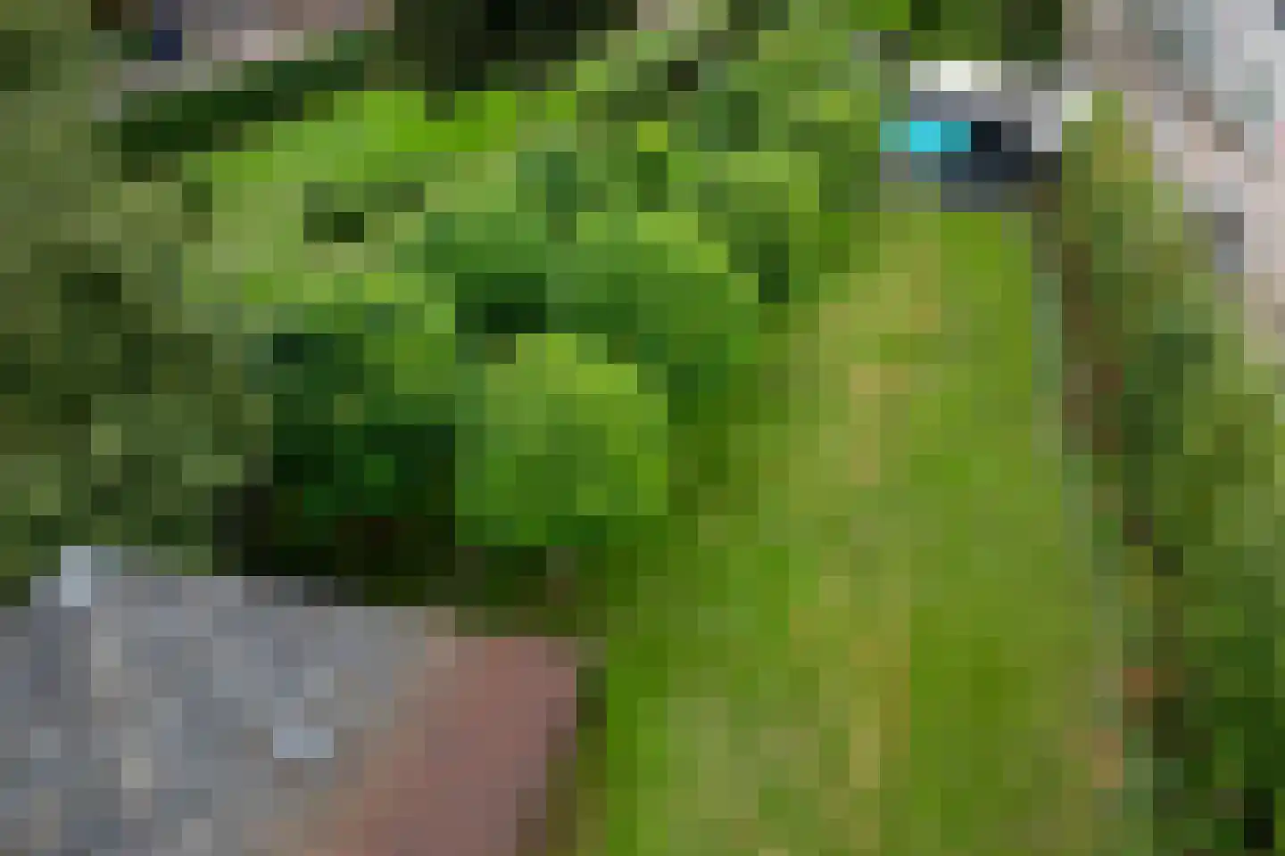 Wolput 83 A Vlijmen thumbnail 23