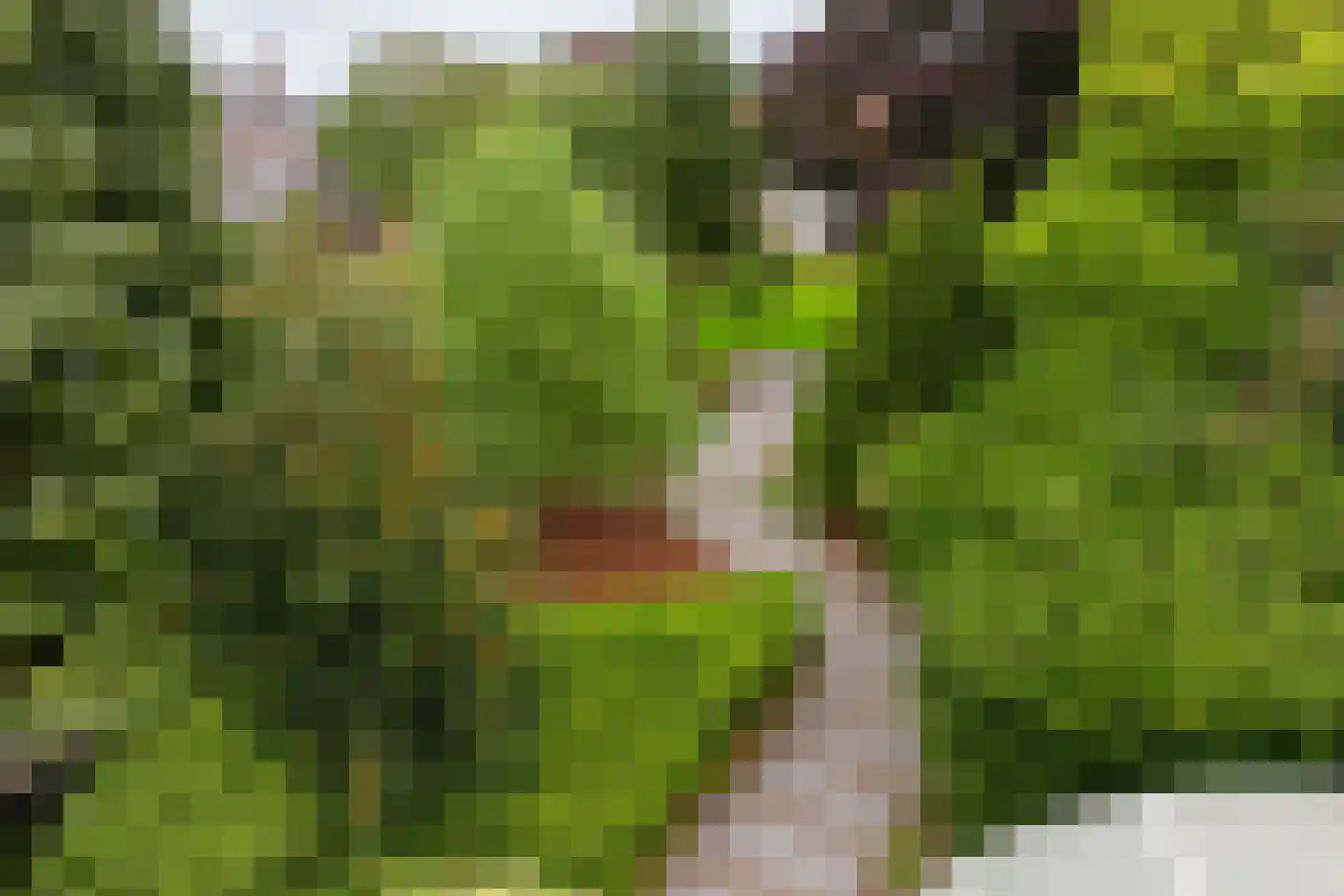 Wolput 83 A Vlijmen thumbnail 24
