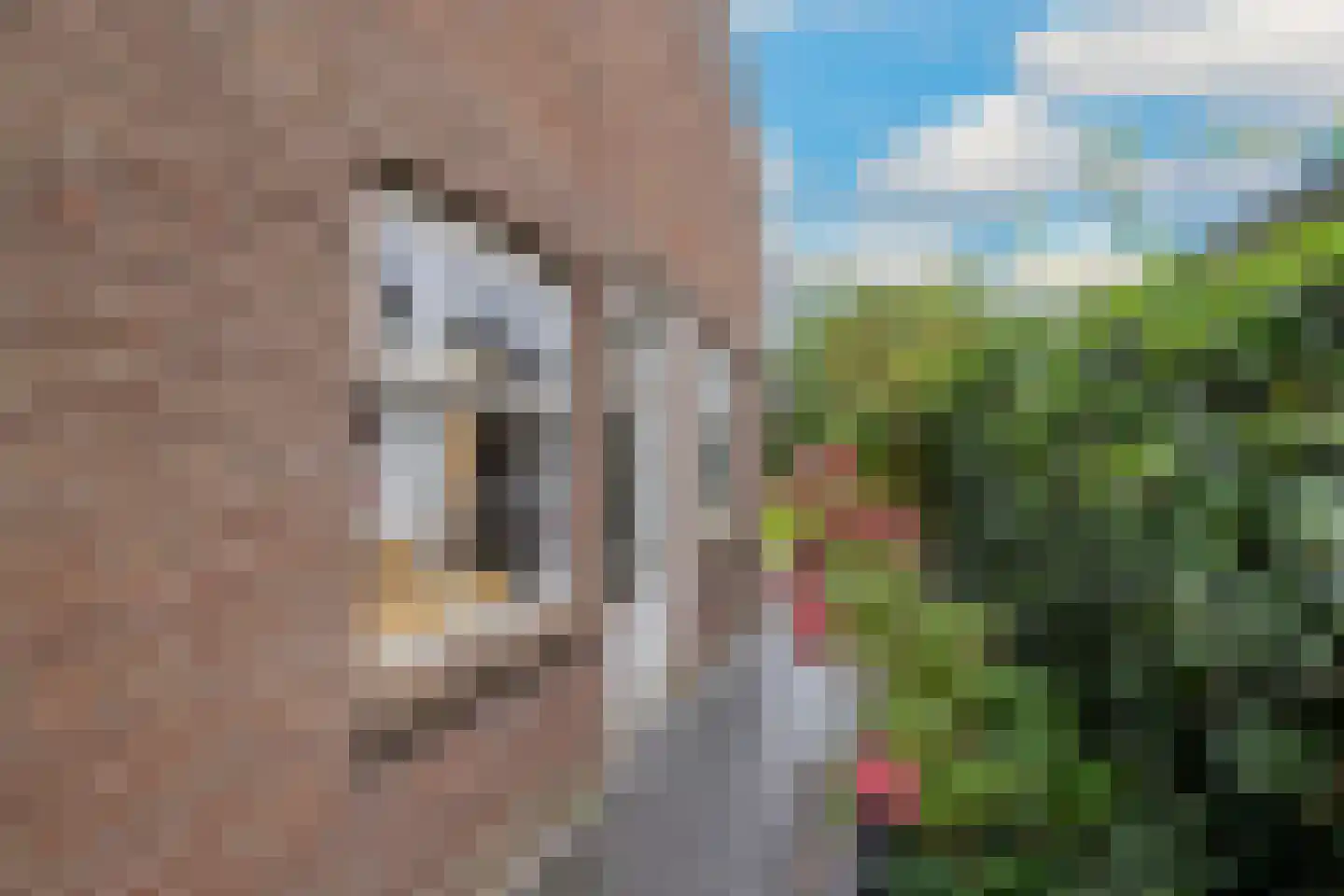 Wolput 83 A Vlijmen thumbnail 29