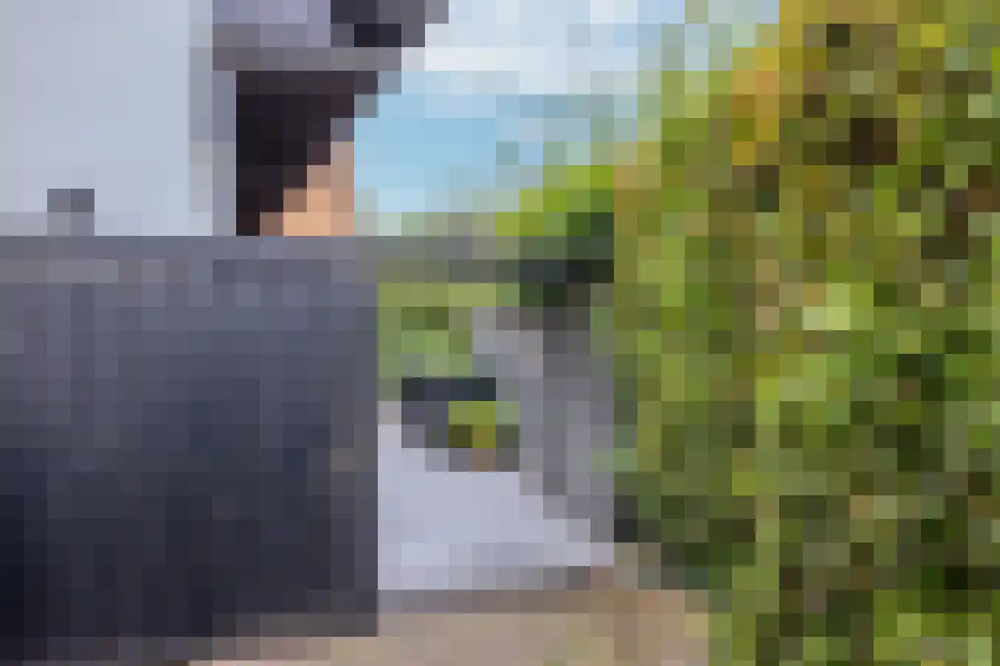 Wolput 83 A Vlijmen thumbnail 33