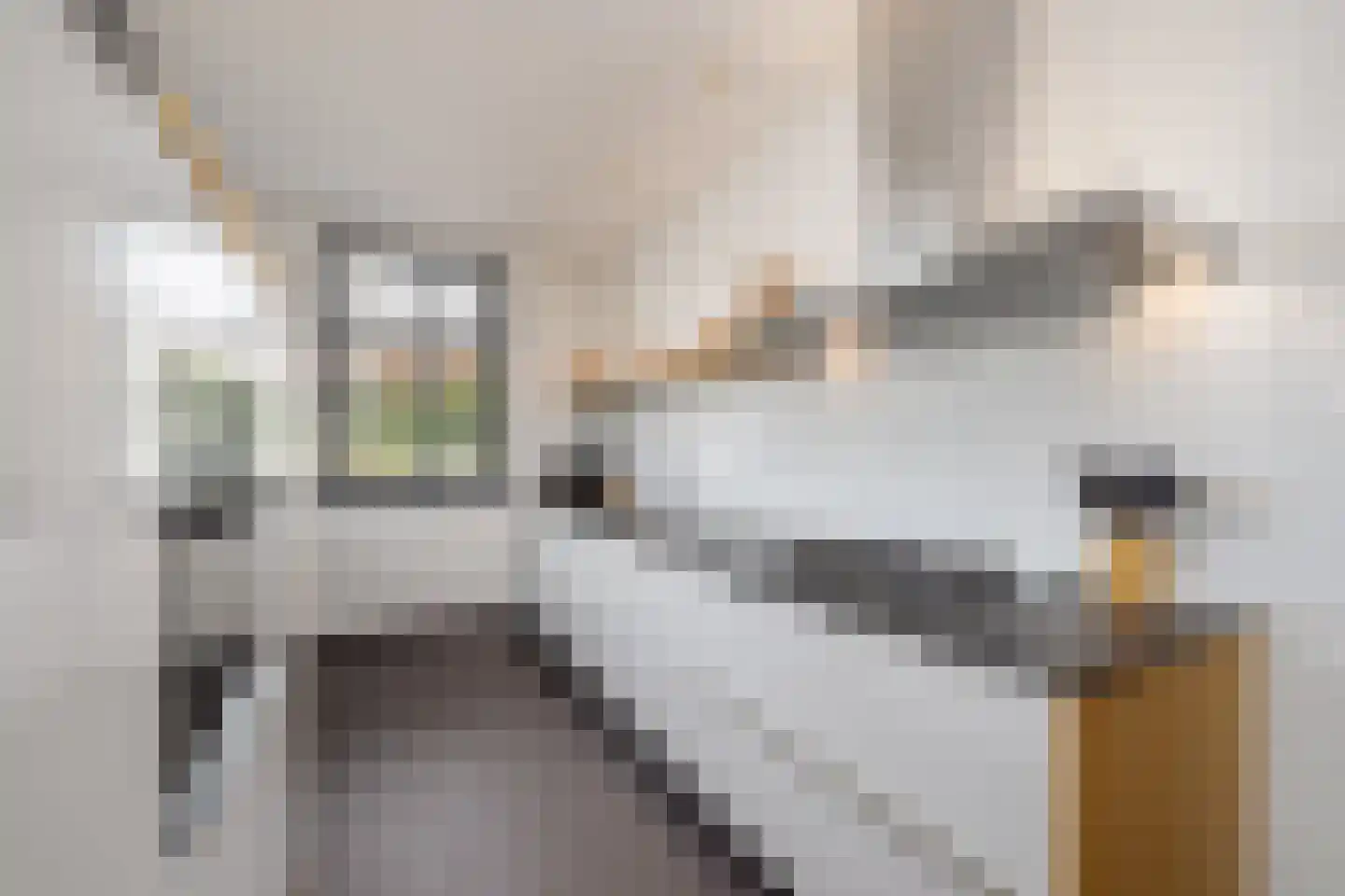Wolput 83 A Vlijmen thumbnail 37