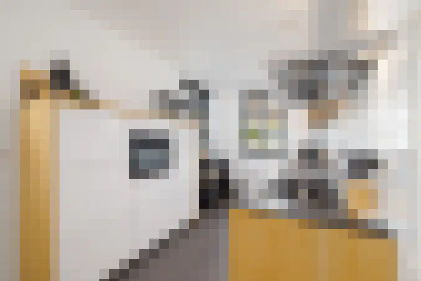 Wolput 83 A Vlijmen thumbnail 39