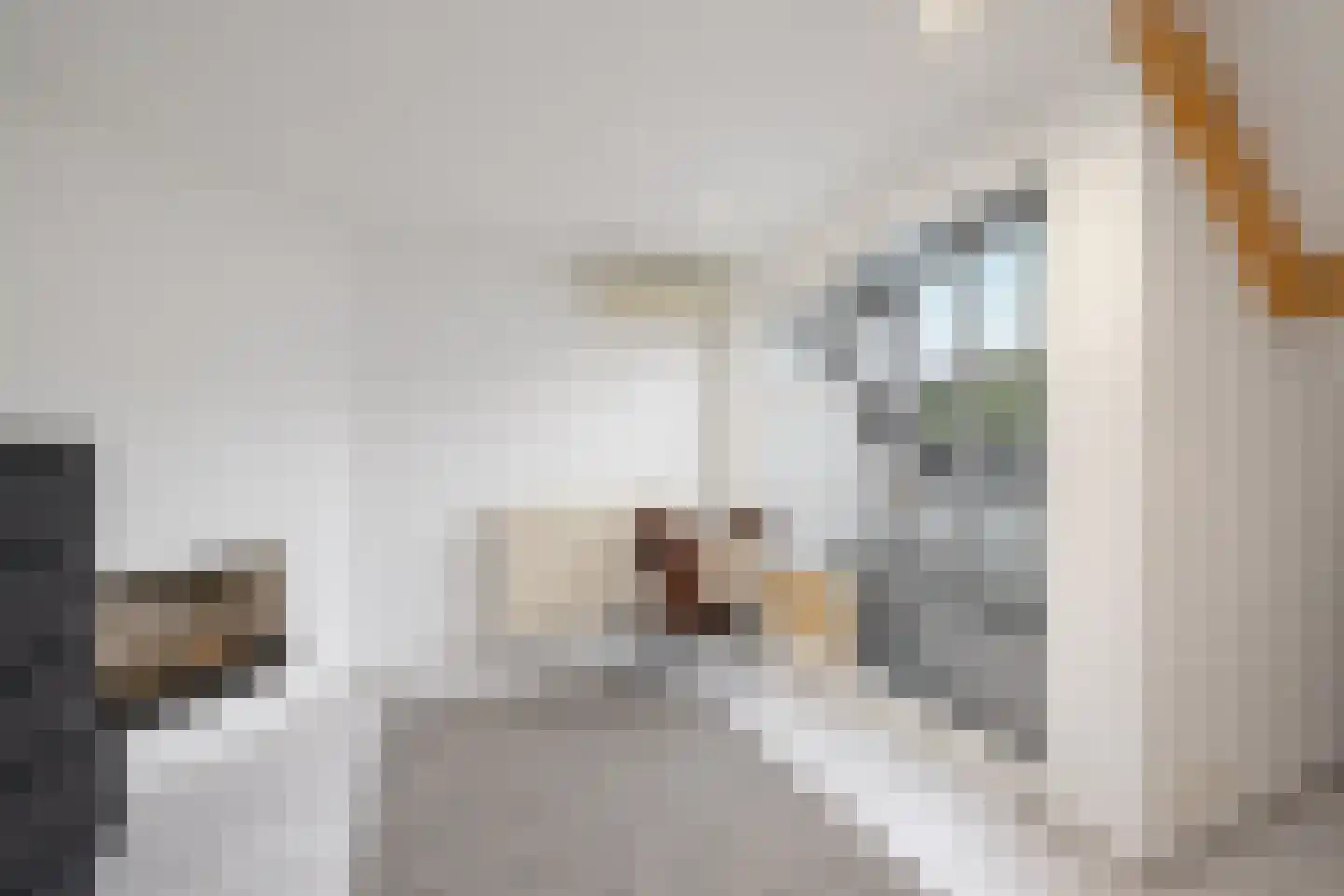 Wolput 83 A Vlijmen thumbnail 47