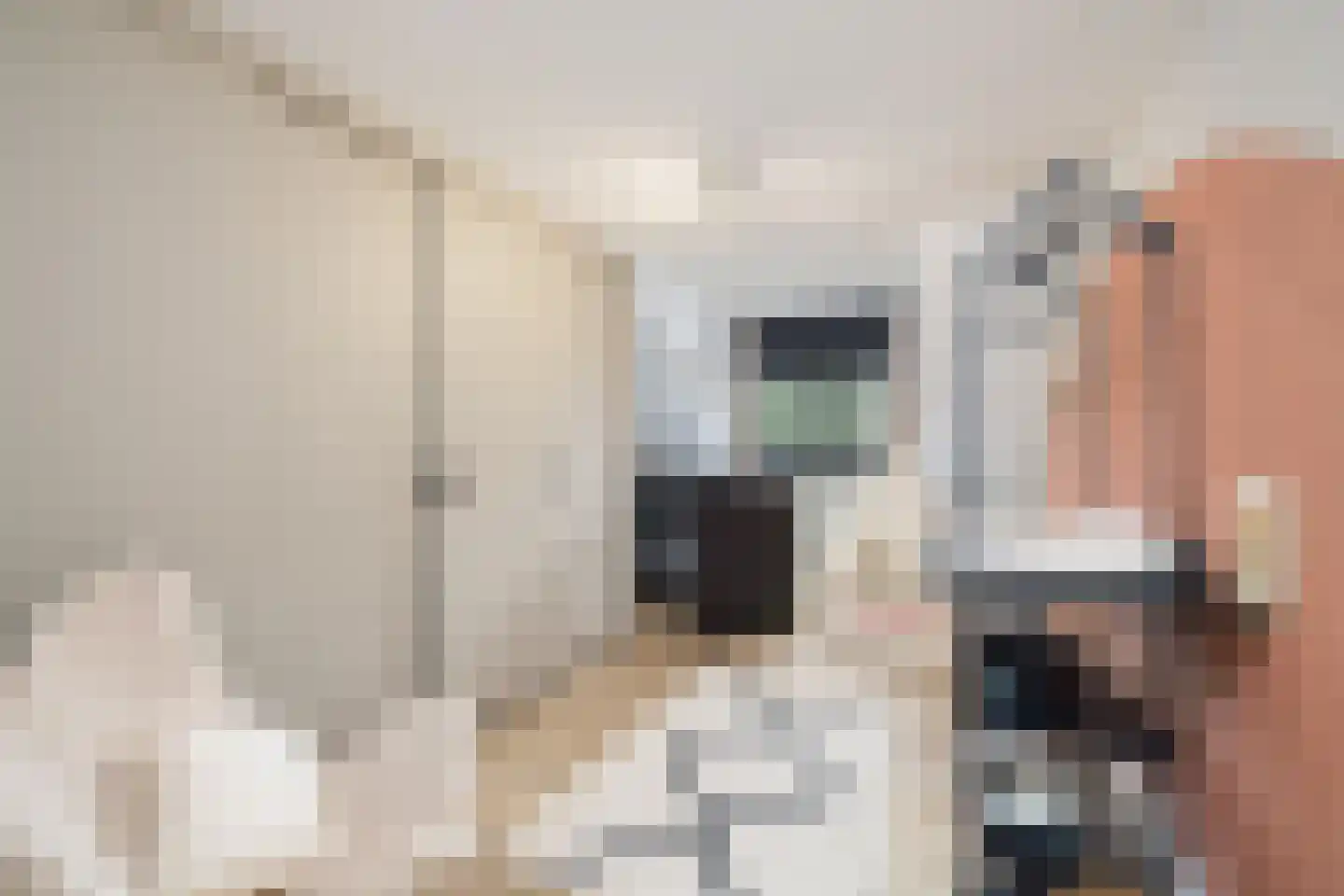Wolput 83 A Vlijmen thumbnail 49