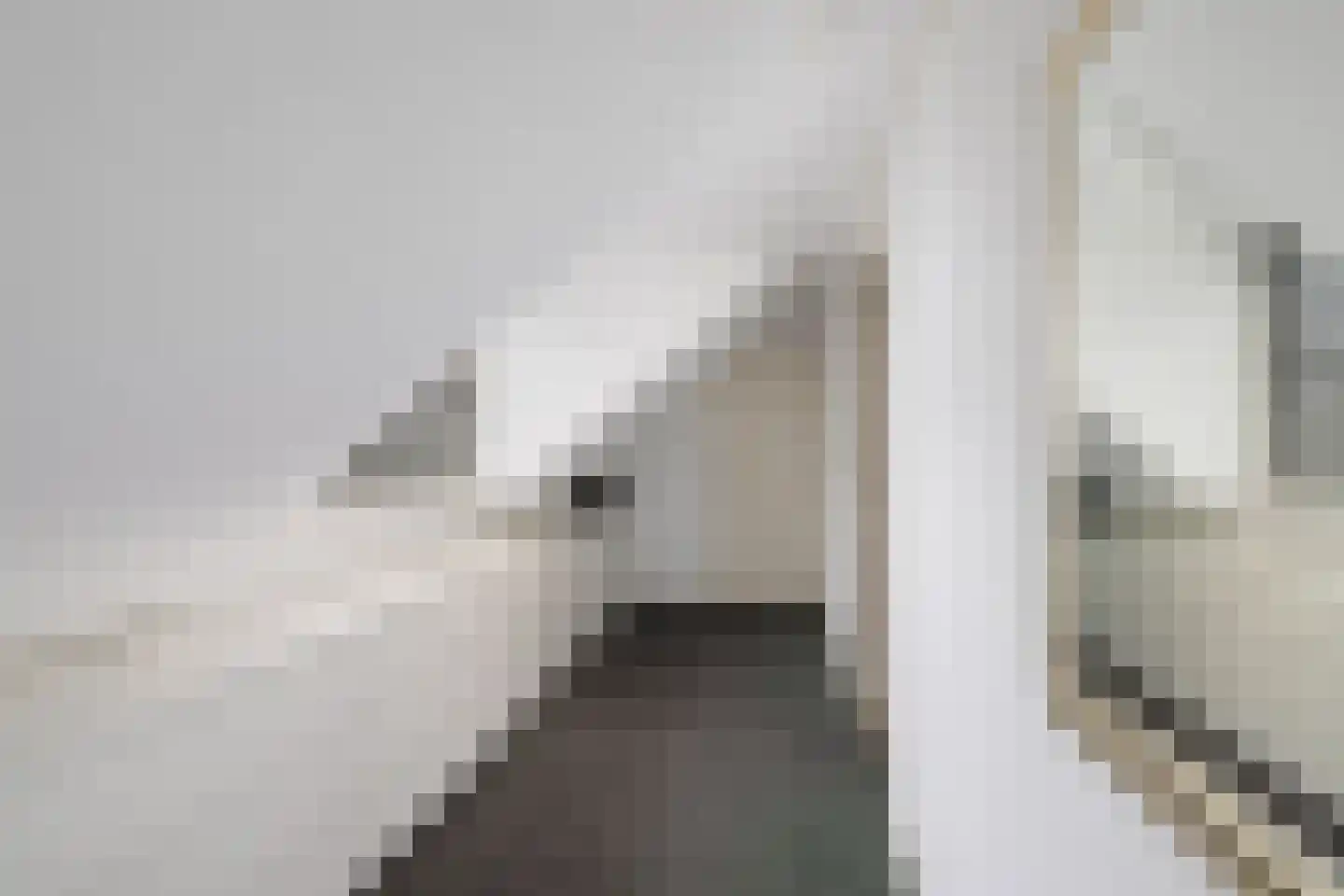 Wolput 83 A Vlijmen thumbnail 51