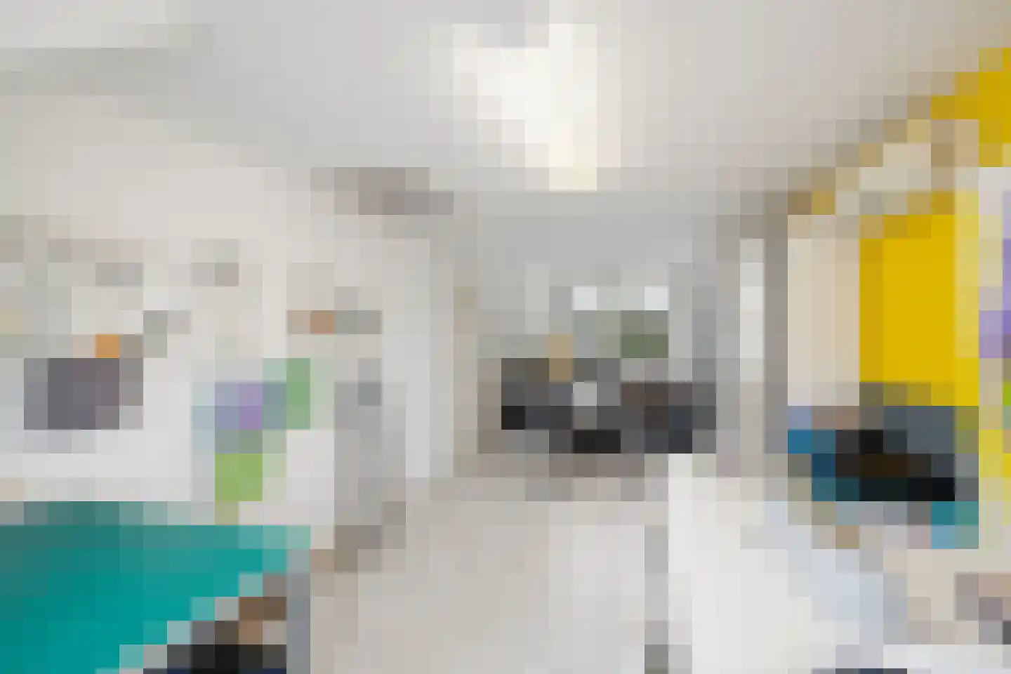 Wolput 83 A Vlijmen thumbnail 53