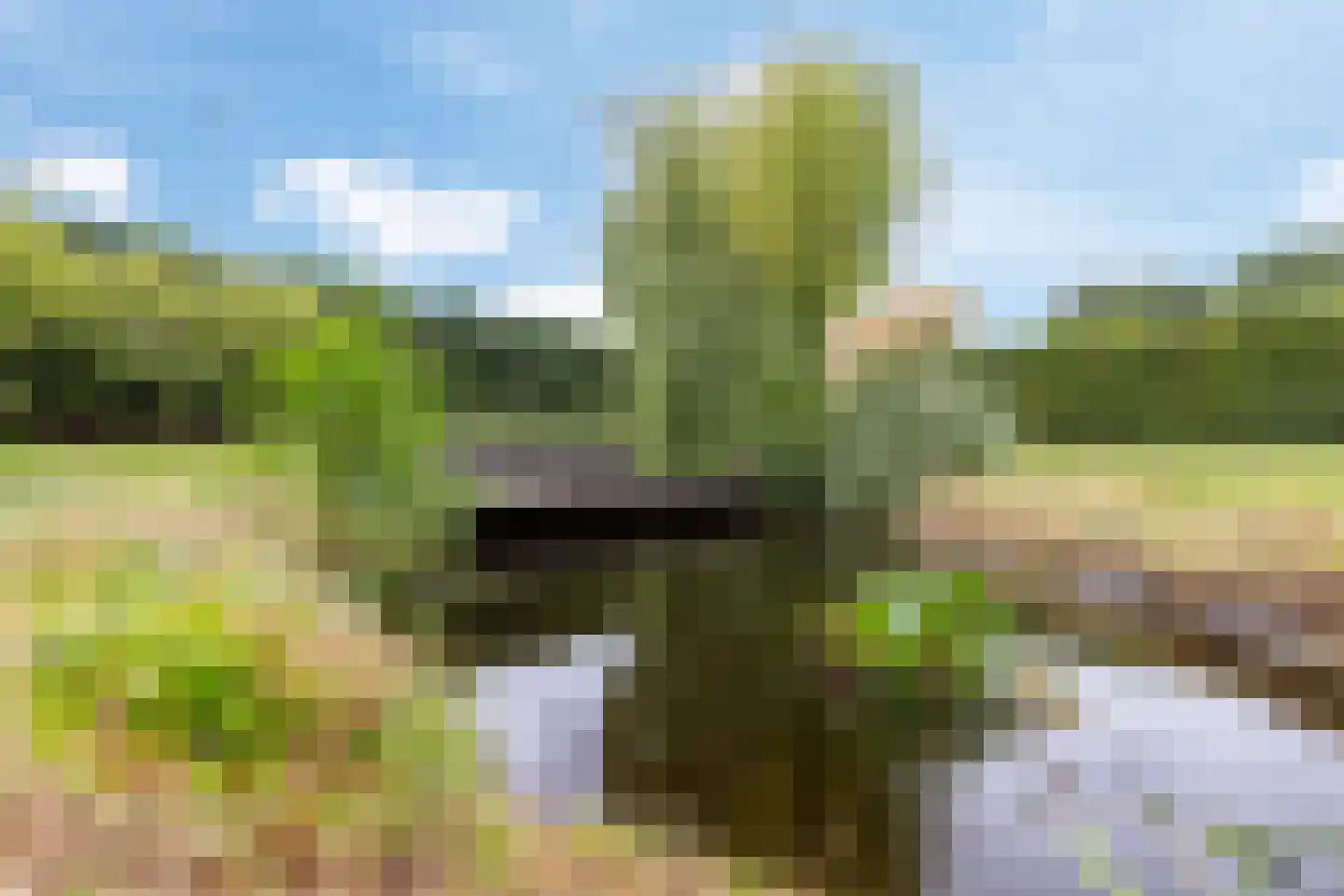 Wolput 83 A Vlijmen thumbnail 58