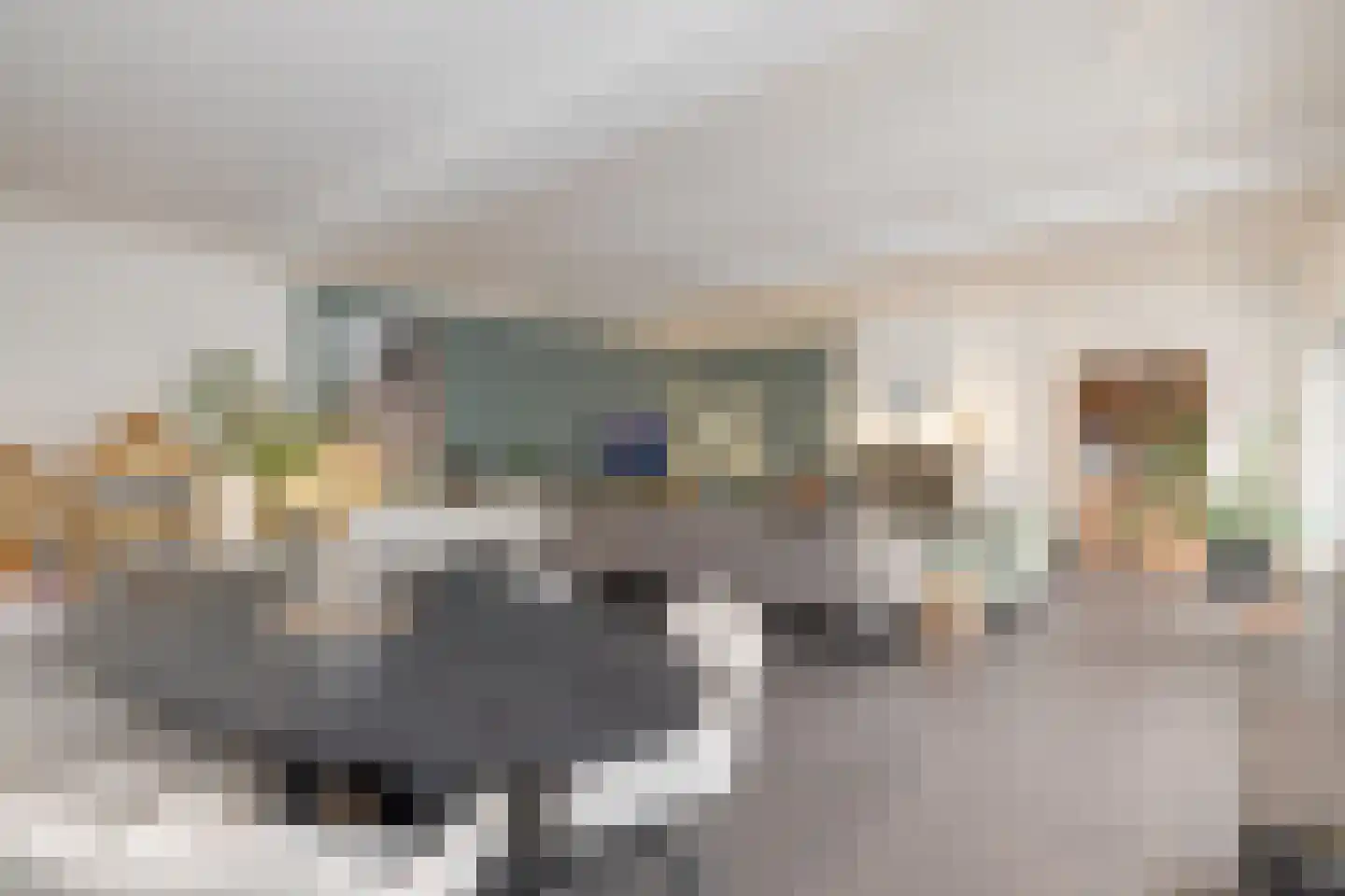 Wolput 83 A Vlijmen thumbnail 6