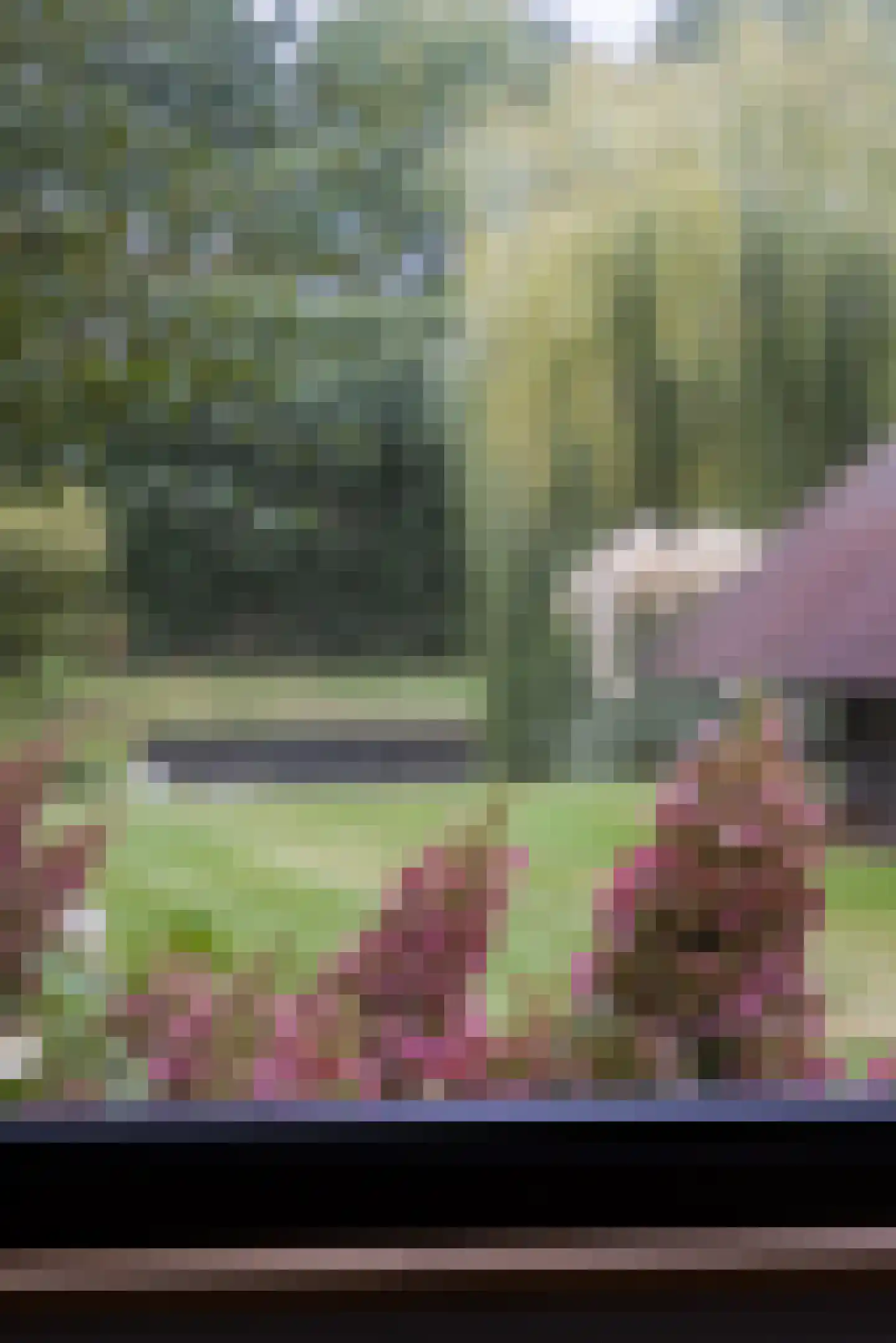 Wolput 83 A Vlijmen thumbnail 60
