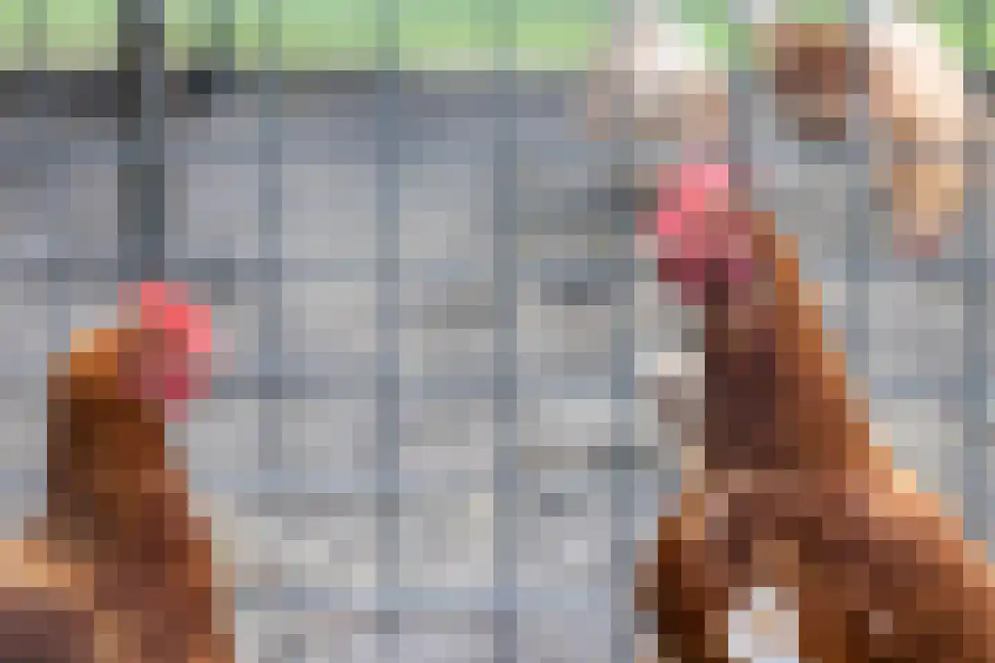 Wolput 83 A Vlijmen thumbnail 62