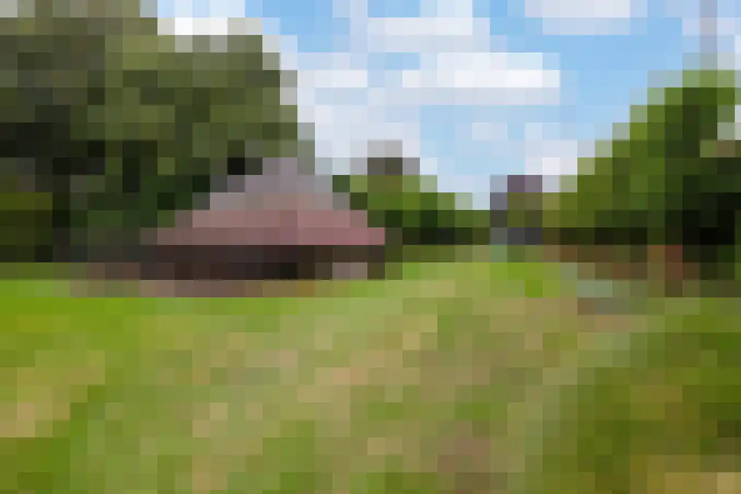 Wolput 83 A Vlijmen thumbnail 63