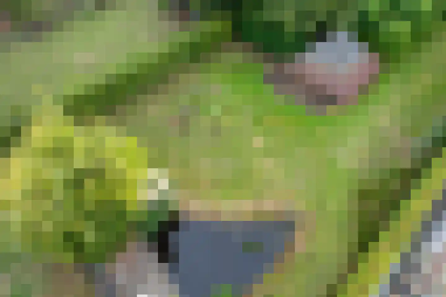 Wolput 83 A Vlijmen thumbnail 66