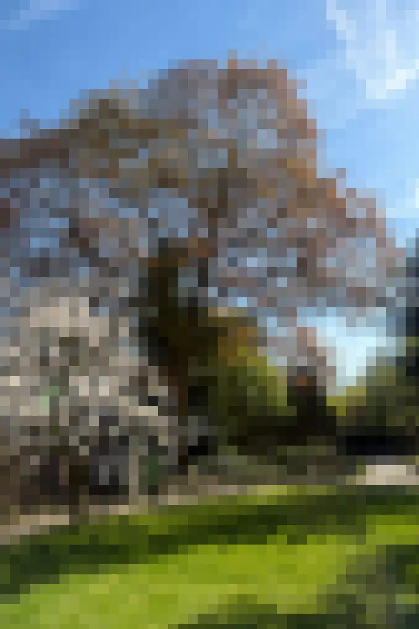 Wolput 83 A Vlijmen thumbnail 68
