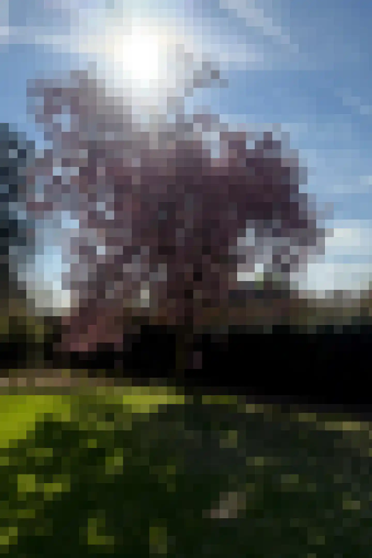 Wolput 83 A Vlijmen thumbnail 69