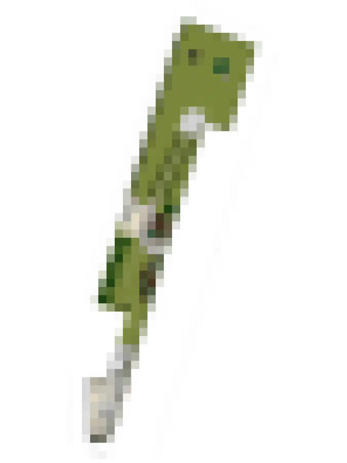 Wolput 83 A Vlijmen thumbnail 72