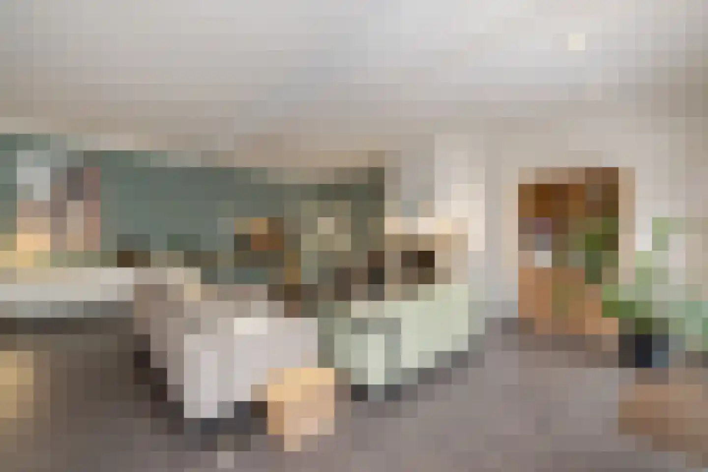 Wolput 83 A Vlijmen thumbnail 8