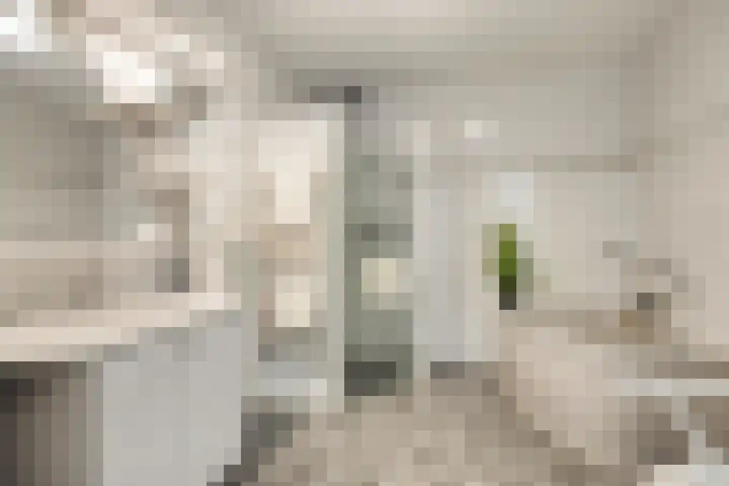 Wolshagen 15 Losser thumbnail 27