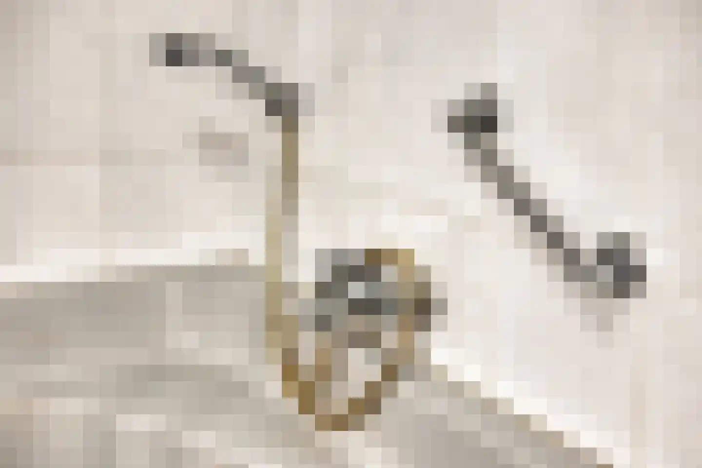Wolshagen 15 Losser thumbnail 30